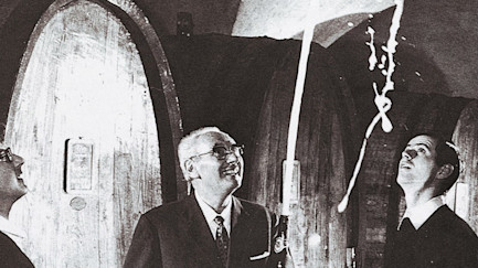 auf-der-ueberholspur-coverImage