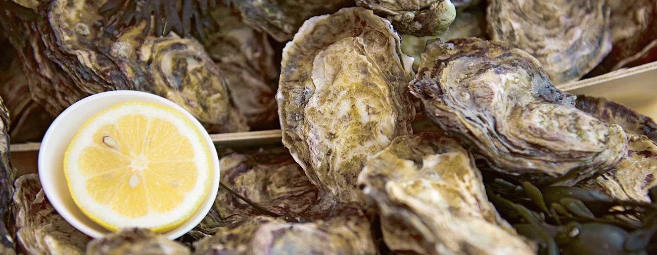 bindella-blog-news-austern-21-hero