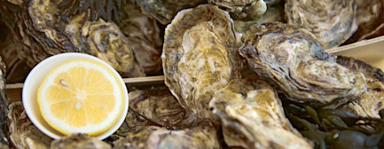 bindella-blog-news-austern-21-hero