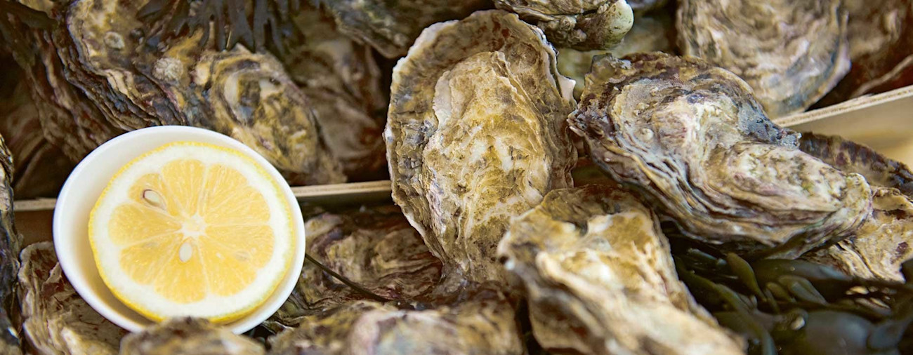 bindella-blog-news-austern-21-hero