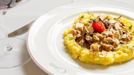 Veganes Geschnetzeltes mit Trüffel-Steinpilz-Sauce