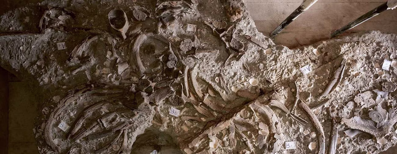 bindella-blog-news-bild-zum-staunen-ausgegraben-hero