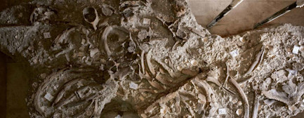 bindella-blog-news-bild-zum-staunen-ausgegraben-hero