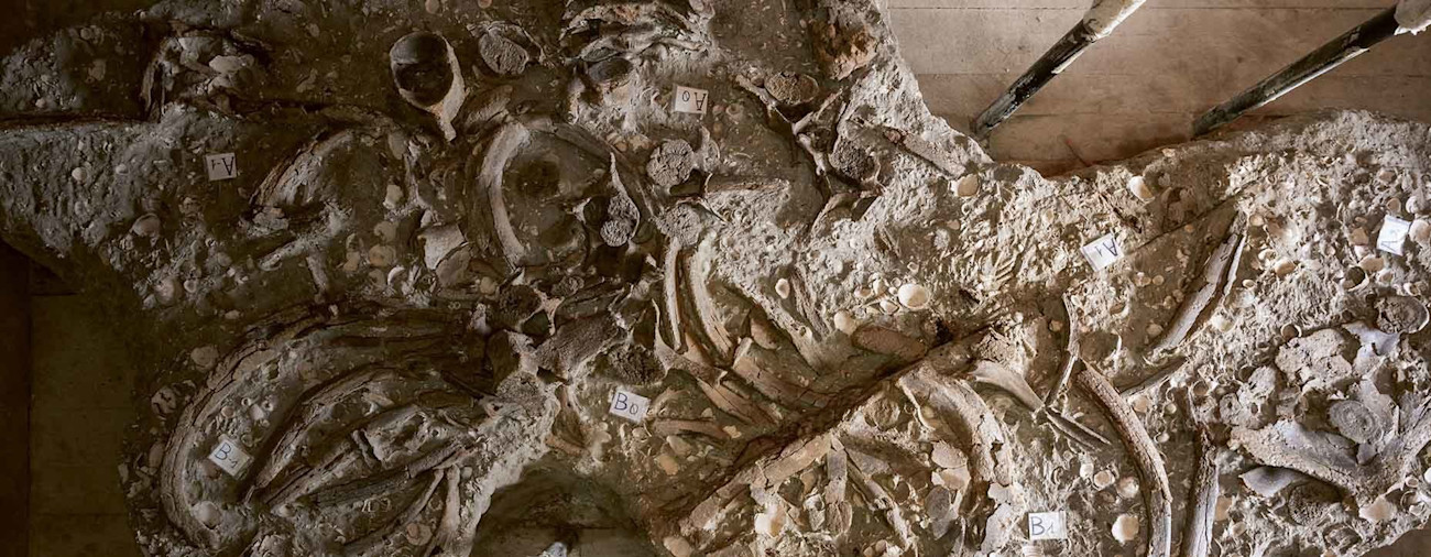 bindella-blog-news-bild-zum-staunen-ausgegraben-hero