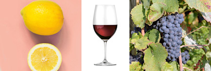 Brunello und Scalopine al limone, das passt!