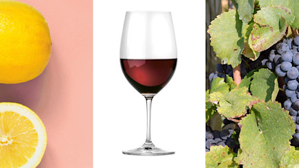 Brunello und Scalopine al limone, das passt!