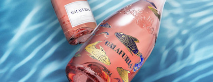 bindella-blog-wein-calafuria-im-fruehlingsgewand-hero-neu