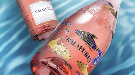 bindella-blog-wein-calafuria-im-fruehlingsgewand-hero-neu