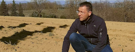 bindella-blog-corriere-sommer21-hero