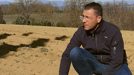 bindella-blog-corriere-sommer21-hero