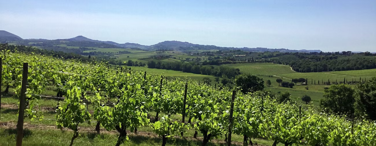 Blick auf Montepulciano