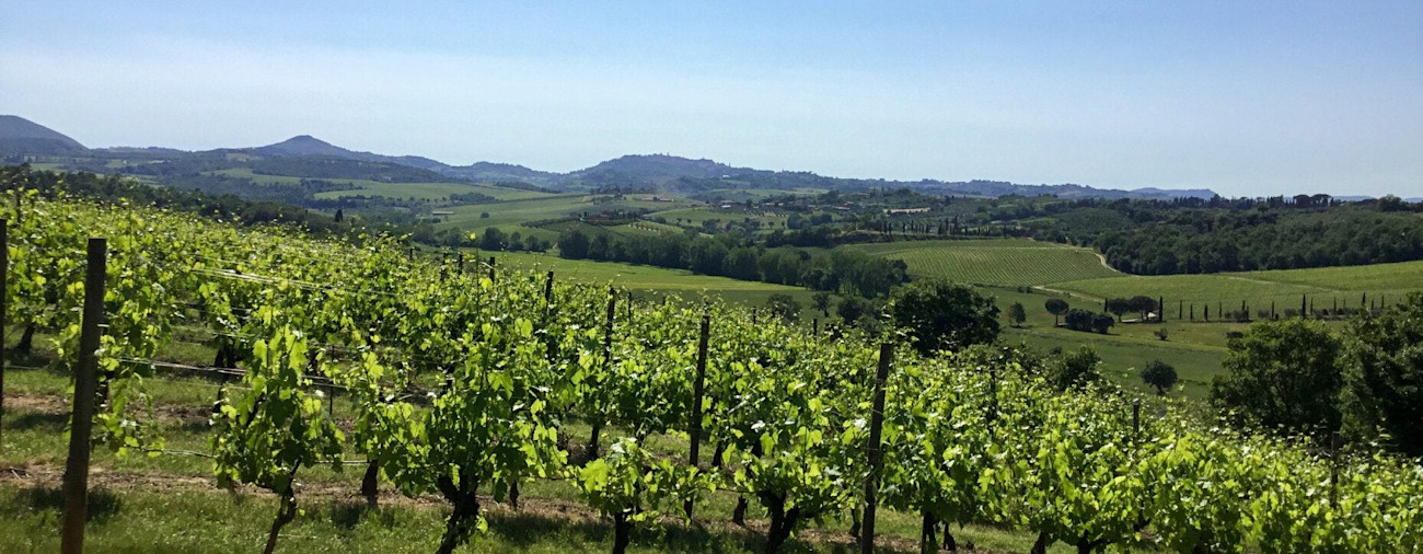 Blick auf Montepulciano
