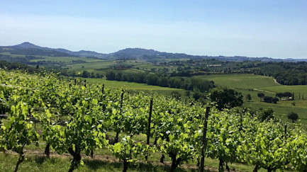 Blick auf Montepulciano