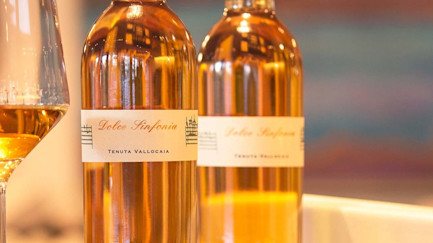 bindella-blog-wein-die-suesse-einer-sinfonie-00