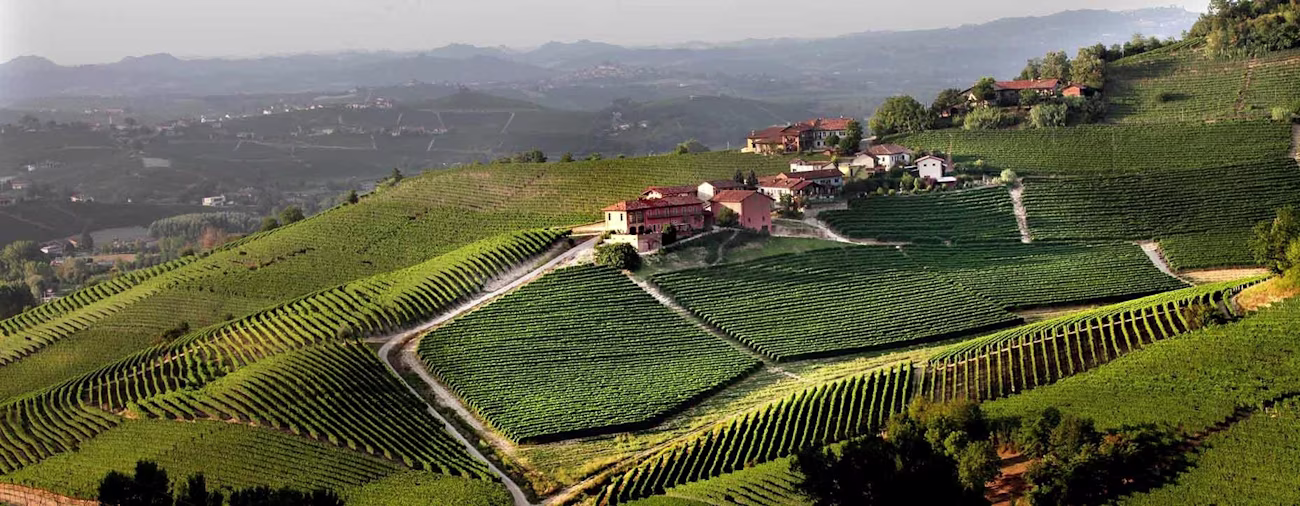 bindella-blog-prunottos-neuer-hero