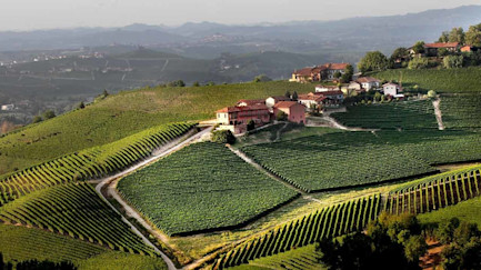 bindella-blog-prunottos-neuer-hero