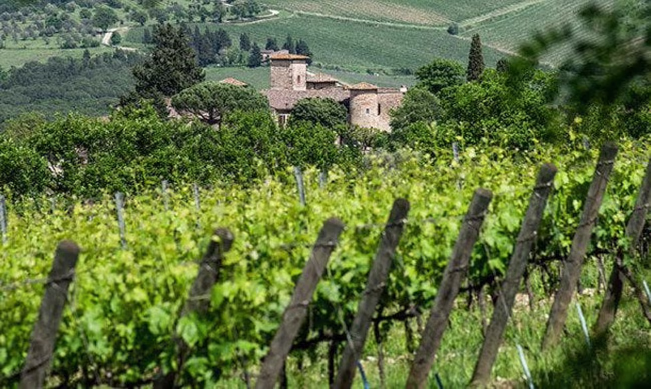 bindella-blog-news-Santa-Cristina-Tuscanys-Breath-beitrag1