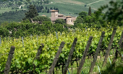 bindella-blog-news-Santa-Cristina-Tuscanys-Breath-beitrag1