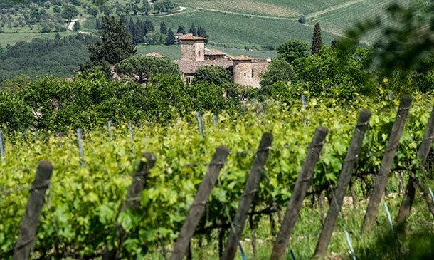 bindella-blog-news-Santa-Cristina-Tuscanys-Breath-beitrag1