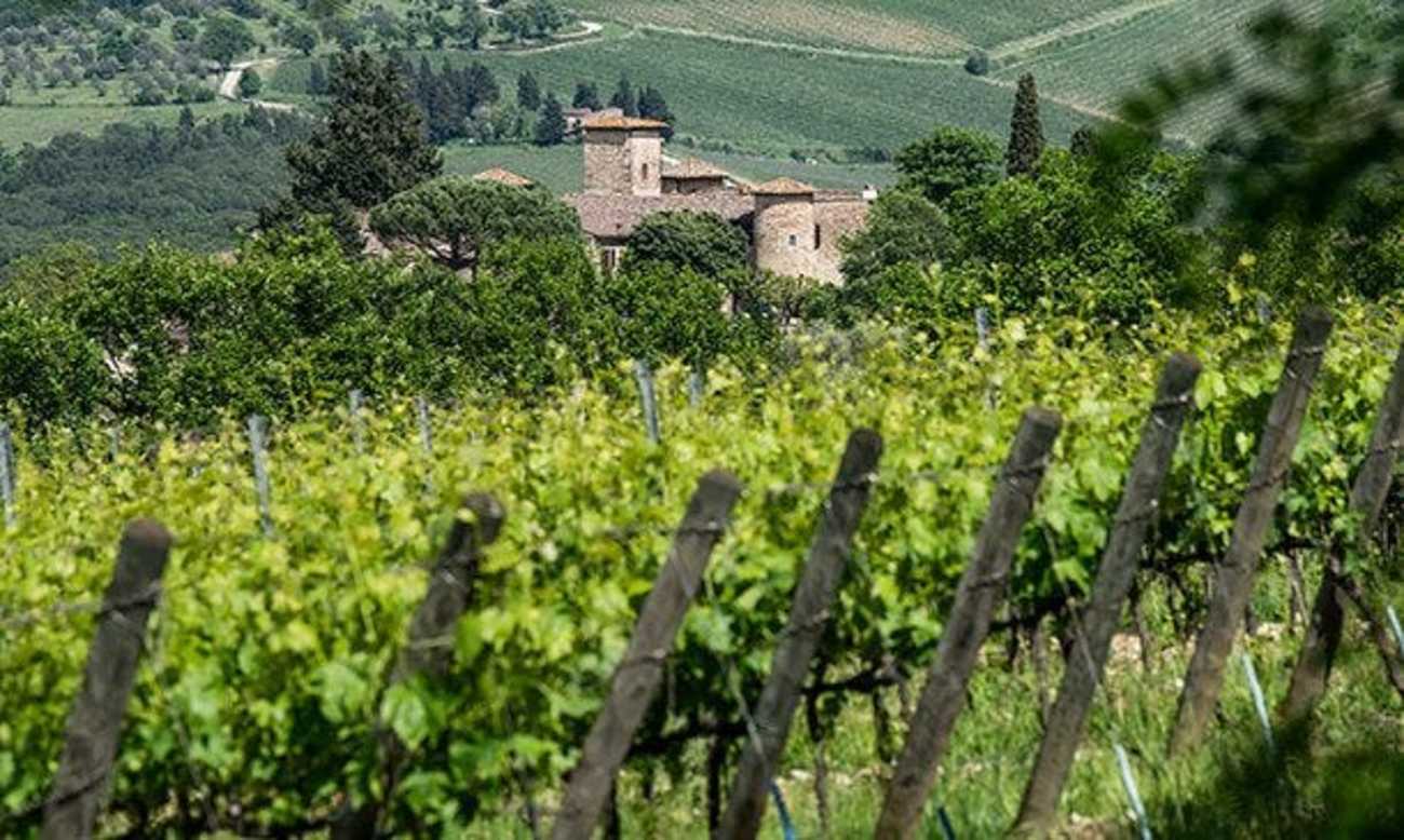 bindella-blog-news-Santa-Cristina-Tuscanys-Breath-beitrag1