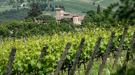 bindella-blog-news-Santa-Cristina-Tuscanys-Breath-beitrag1