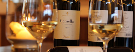 bindella-blog-wein-erfolgsgeschichte-einer-verruecktheit-00