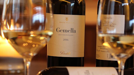 bindella-blog-wein-erfolgsgeschichte-einer-verruecktheit-00