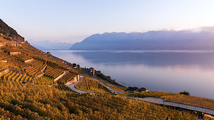 bindella-wh-weinwissen-regionen-schweiz-teaser