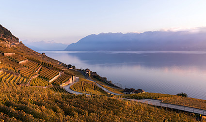 bindella-wh-weinwissen-regionen-schweiz-teaser