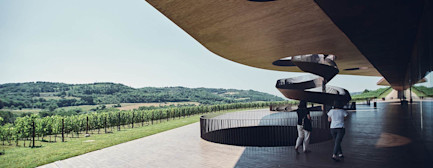 bindella-blog-news-fazit-2022-cotarella-hero