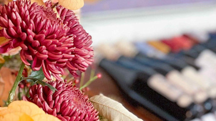 bindella-blog-news-herbst-von-der-sonnenseite-hero2