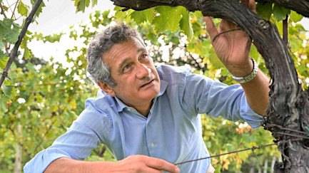 bindella-blog-w-&-gm-frisch-wie-eine-meeresbrise-nblog