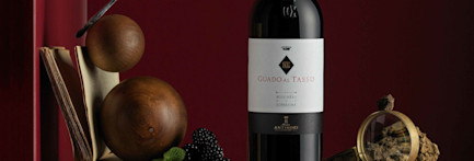 bindella-blog-wein-guado-al-tasso-2019-00