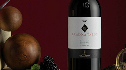 bindella-blog-wein-guado-al-tasso-2019-00