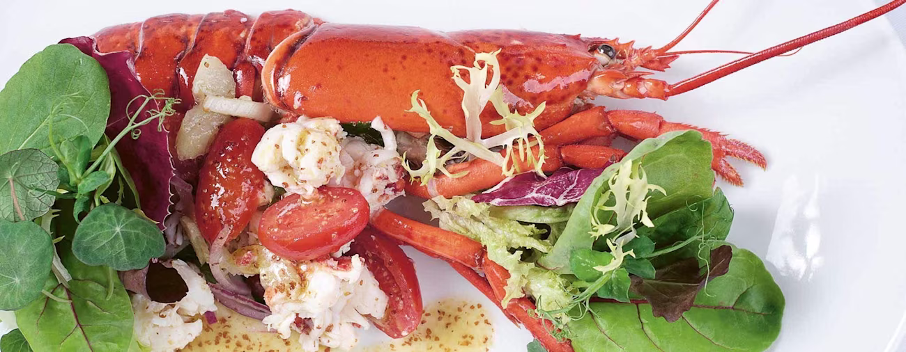 bindella-blog-rezepte-hummersalat-bianchihero