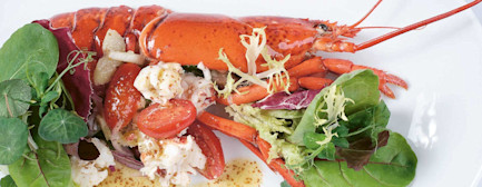 bindella-blog-rezepte-hummersalat-bianchihero