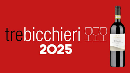 bindella-blog-wein-i-quadri-2021-trebicchieri-nblog