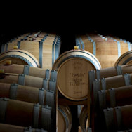 Schön aufgereihte Barriquefässer im Keller der Tenuta Braida