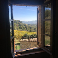 Ausblick aus dem Fenster auf die wunderschönen Rebbergen welche zu den Rebbergen Le Macioche gehört