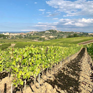 Ausblick inmitten den Rebbergen auf dem Weingut Teruzzi über eine schöne Landschaft