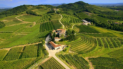 Das Friaul pflegt autochthone Rebsorten und ist bekannt für delikate Grappe.