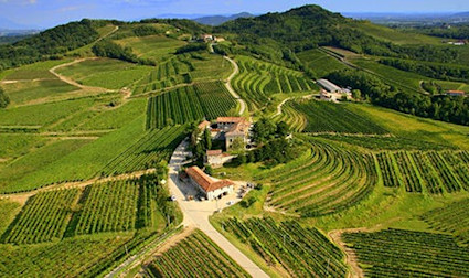 Das Friaul pflegt autochthone Rebsorten und ist bekannt für delikate Grappe.