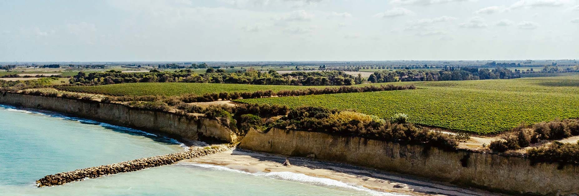Tormarescas Reben ziehen sich bis ans Meer