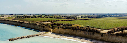 Tormarescas Reben ziehen sich bis ans Meer