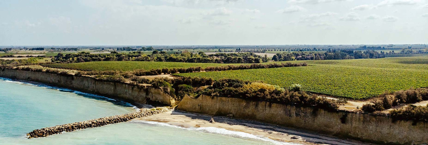 Tormarescas Reben ziehen sich bis ans Meer