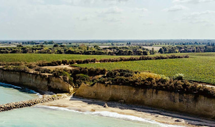 Tormarescas Reben ziehen sich bis ans Meer