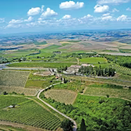 Weitblick über die Rebbergen der Tenuta Conti Costanti in der Toskana