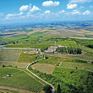 Weitblick über die Rebbergen der Tenuta Conti Costanti in der Toskana