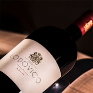 Eine Flasche Lodovico des Jahrgangs 2018