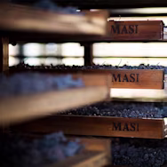 Trauben werden auf Strohmatten angetrockent für die Herstellung des bekannten Amarone